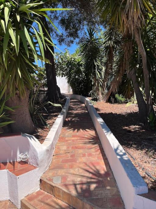 Beautiful Private Villa With Pool, Boliqueime, Loule Exterior photo