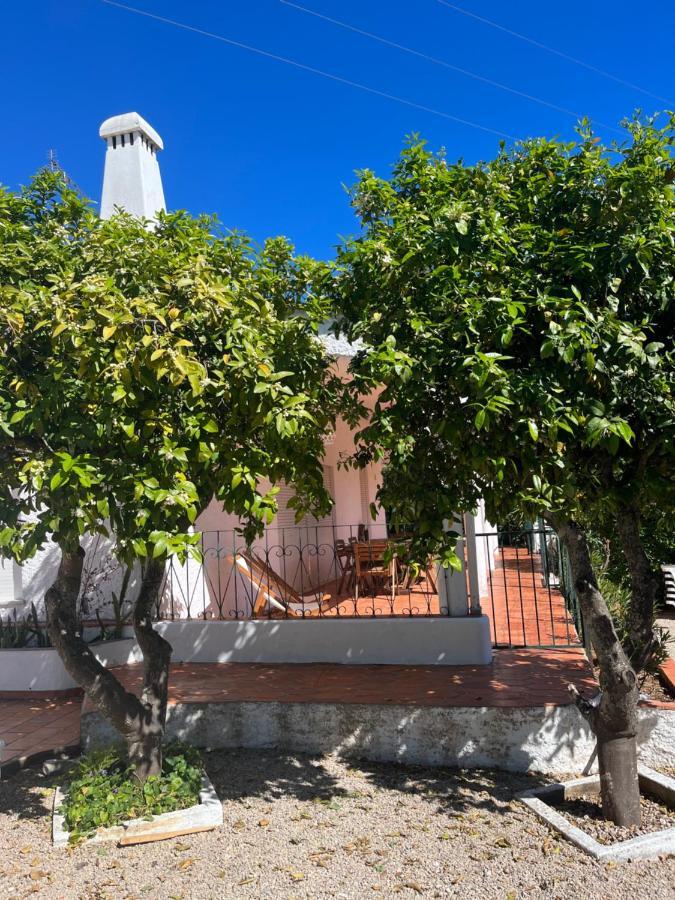 Beautiful Private Villa With Pool, Boliqueime, Loule Exterior photo